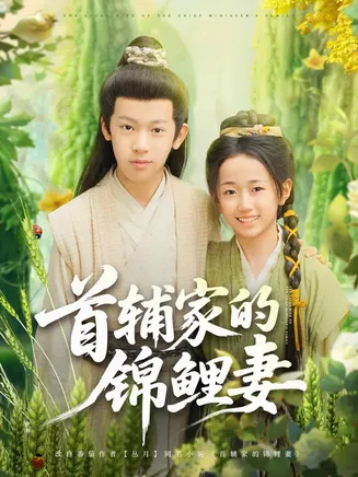 首辅家的锦鲤妻在线观看
