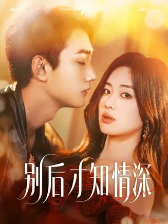 别后才知情深在线观看