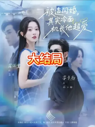 被迫闪婚其实冷面机长他超爱在线观看