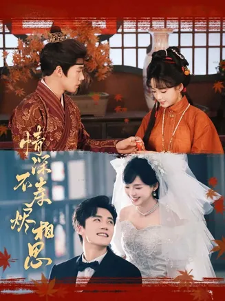 情深不寿烬相思在线观看