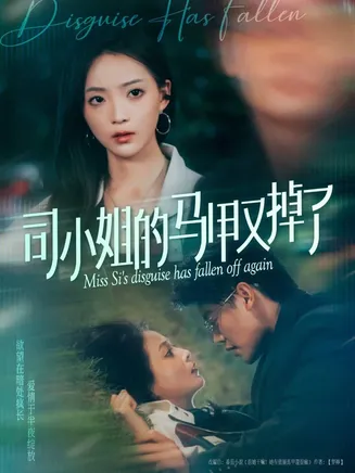 司小姐的马甲又掉了在线观看