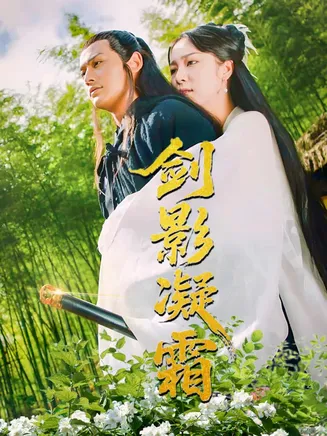 剑影凝霜在线观看
