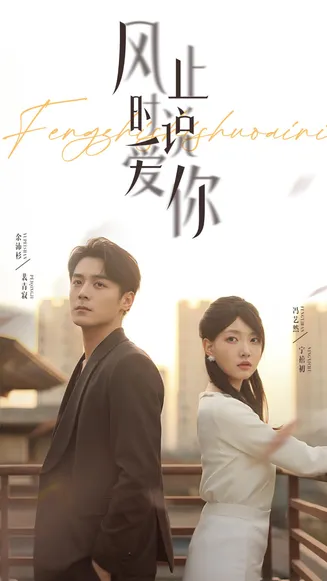 风止时说爱你在线观看