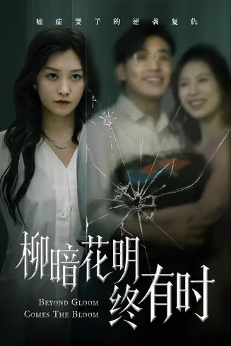 柳暗花明终有时在线观看