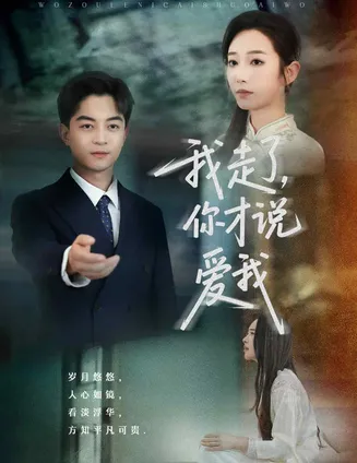 我走了你才说爱我在线观看