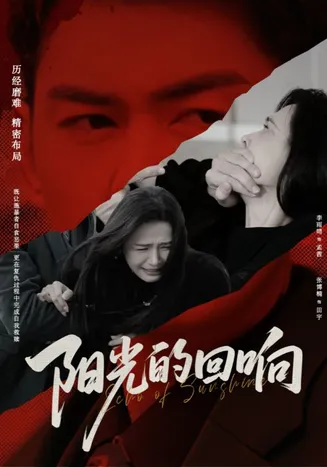 阳光的回响在线观看
