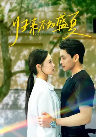 归来不知盛夏在线观看