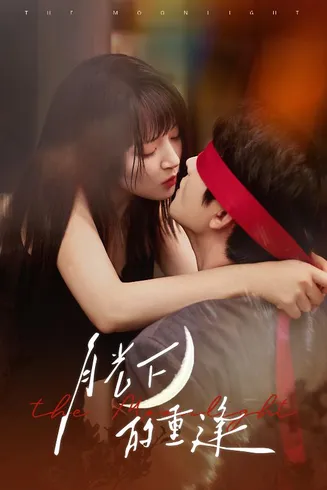 月光下的重逢在线观看