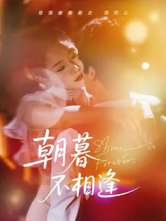 朝暮不相逢在线观看