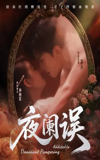 夜阑误在线观看