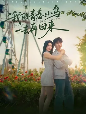 我的青春小鸟一去再回来在线观看