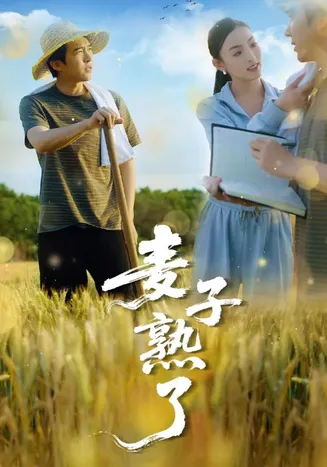 麦子熟了在线观看