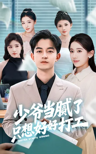 少爷当腻了只想好好打工在线观看