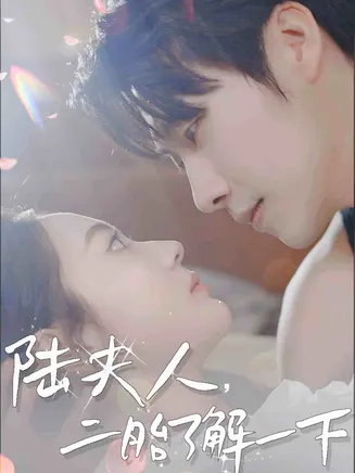 陆夫人，二胎了解一下在线观看