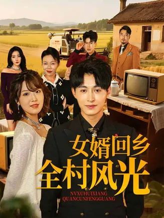 女婿回乡全村风光在线观看