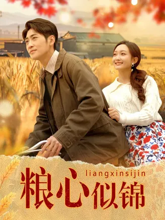 粮心似锦在线观看