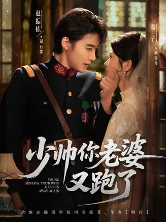 少帅你老婆又跑了在线观看