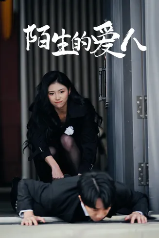 陌生的爱人在线观看