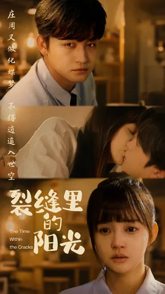 裂缝里的阳光在线观看