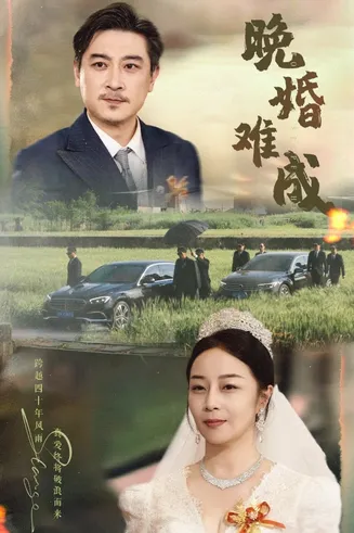 晚婚难成在线观看