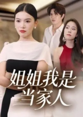 姐姐我是当家人在线观看