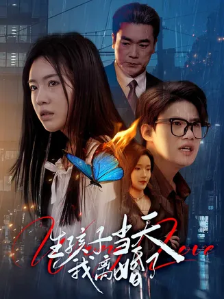 生孩子当天我离婚了在线观看