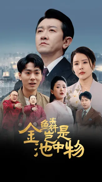 金lin岂是池中物在线观看