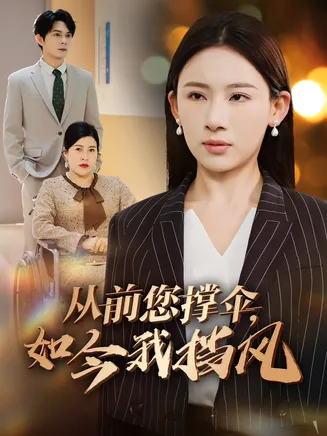 从前您撑伞如今我挡风在线观看