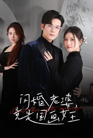 闪婚老婆竟是国画女王在线观看
