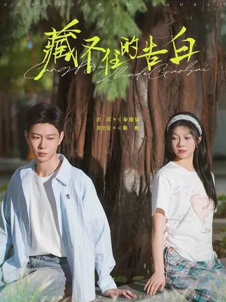 藏不住的告白在线观看