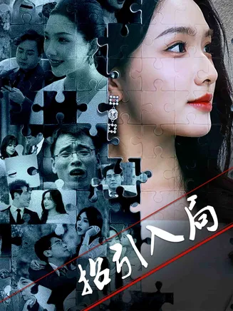 招引入局在线观看