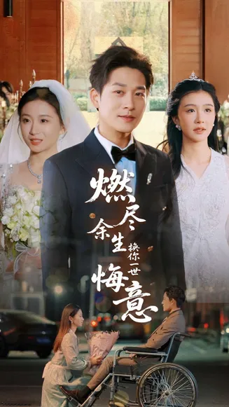 燃尽余生换你一世悔意在线观看