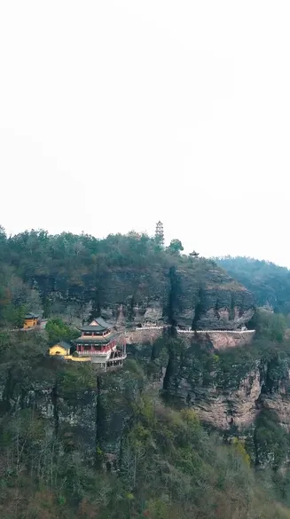 功夫萌宝神算爹在线观看