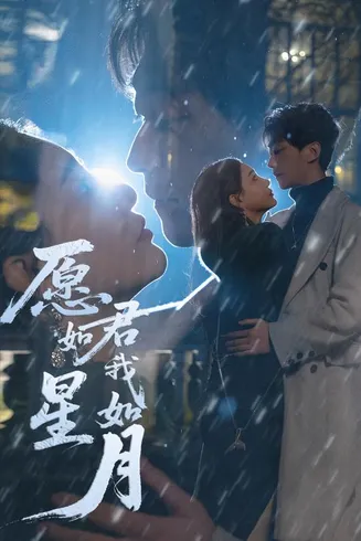 愿君如星我如月在线观看