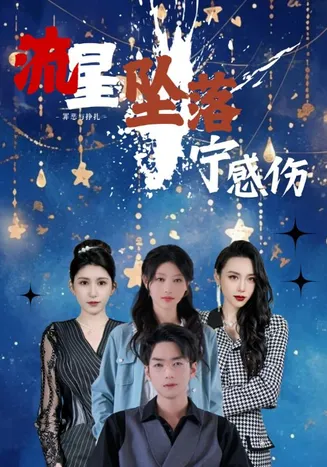 流星坠落宁感伤在线观看