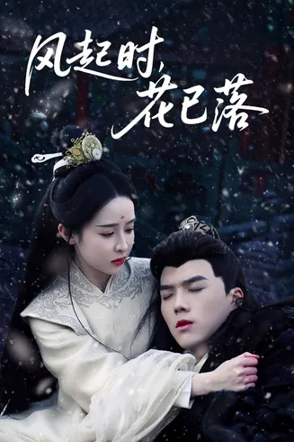 风起时，花已落在线观看