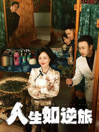 人生如逆旅在线观看