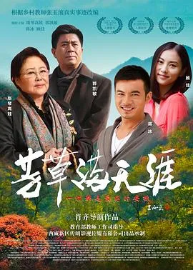 芳草满天涯在线观看