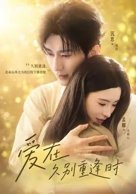 爱在久别重逢时在线观看