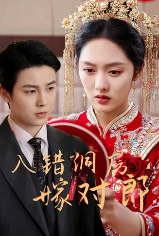 入错洞房嫁对郎在线观看