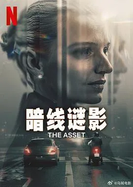暗线谜影在线观看