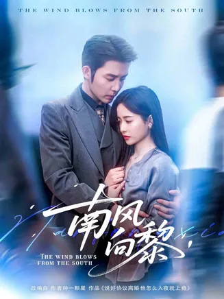 南风向黎在线观看