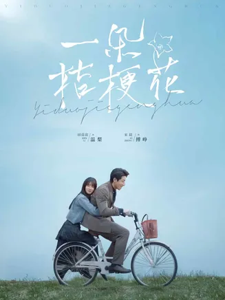 一朵桔梗花在线观看