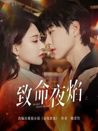 致命夜焰在线观看
