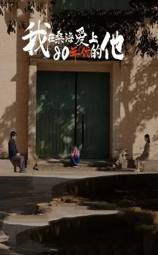 我在桑海爱上80年代的他在线观看