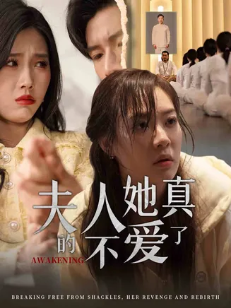 夫人她真的不爱了在线观看