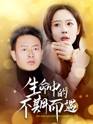 生命中的不期而遇在线观看