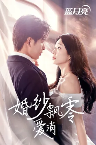 婚纱飘零爱消弭在线观看