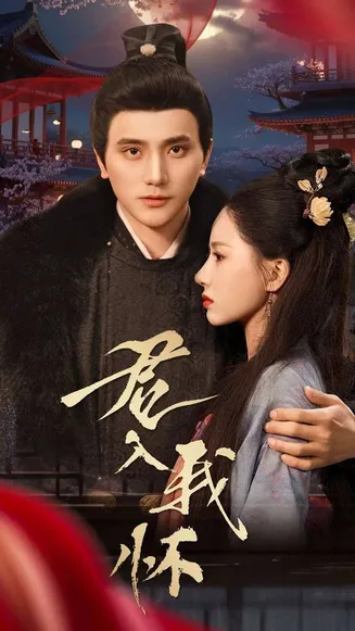 君入我怀在线观看