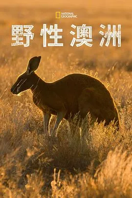 野性澳大利亚在线观看